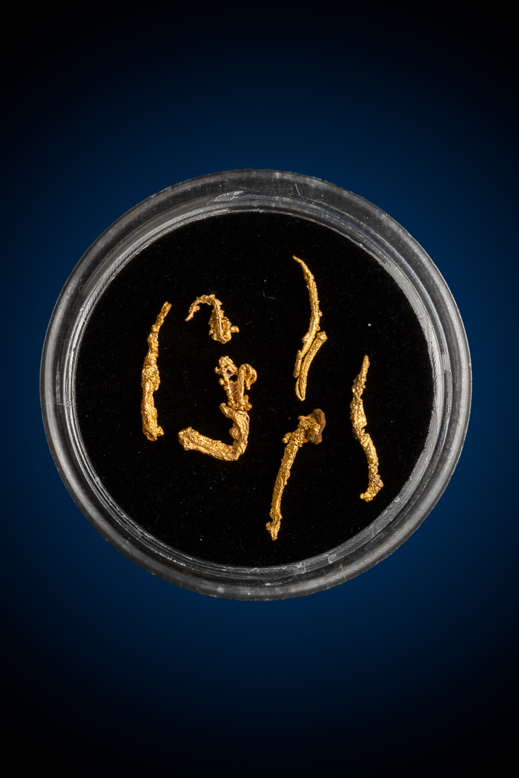 (image for) Six Brilliant Wire Gold Specimens from New Zealand